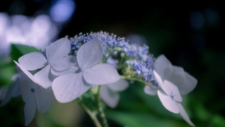 Thumbnail of post image 080